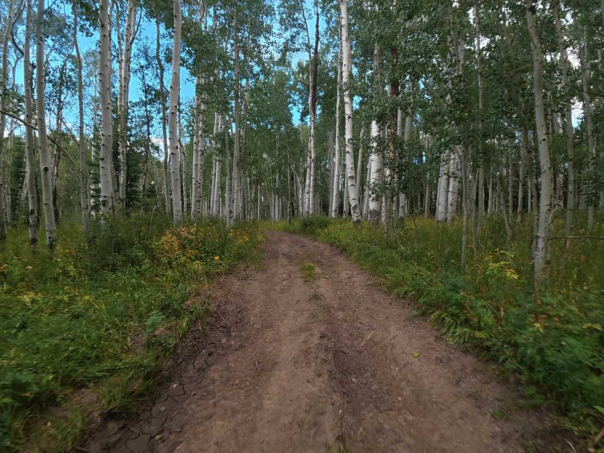Elk Ridge Road - FS 248 photo 2