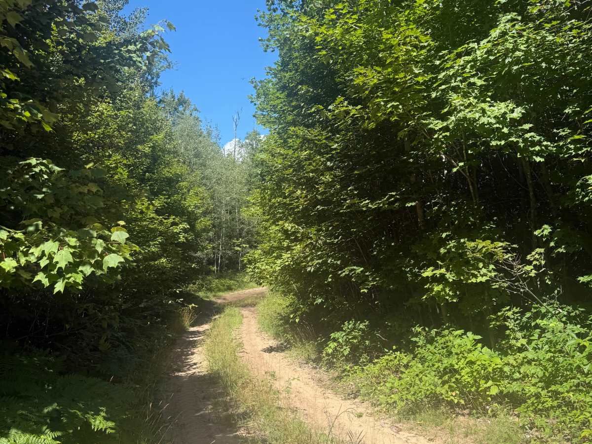Big 4-Norconk Connector Trail photo 3