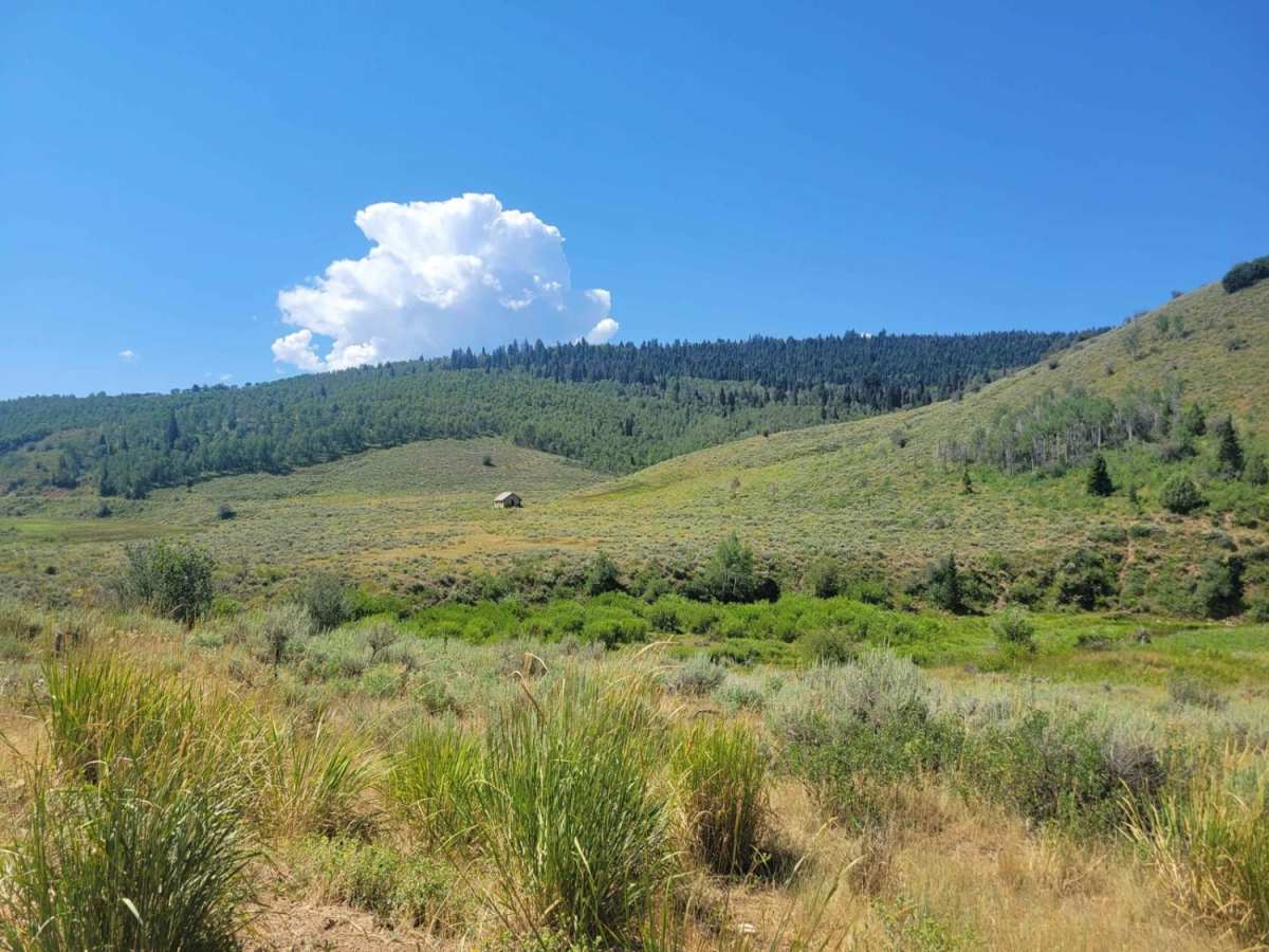 Jeremy Ranch Road photo 6