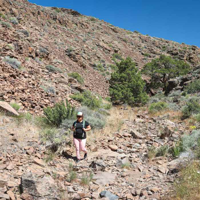 Near Griffith Canyon