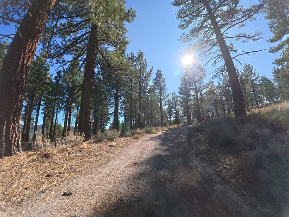 Big Springs Cutoff - FS 2S38 trail photo