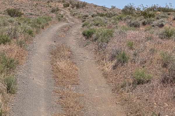 Mesquite Canyon South