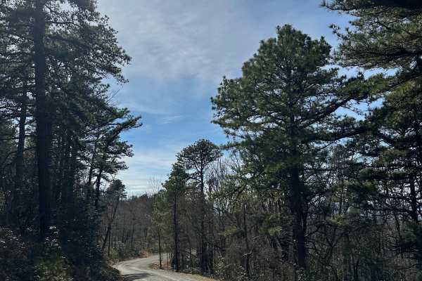 Middle Ridge Road 