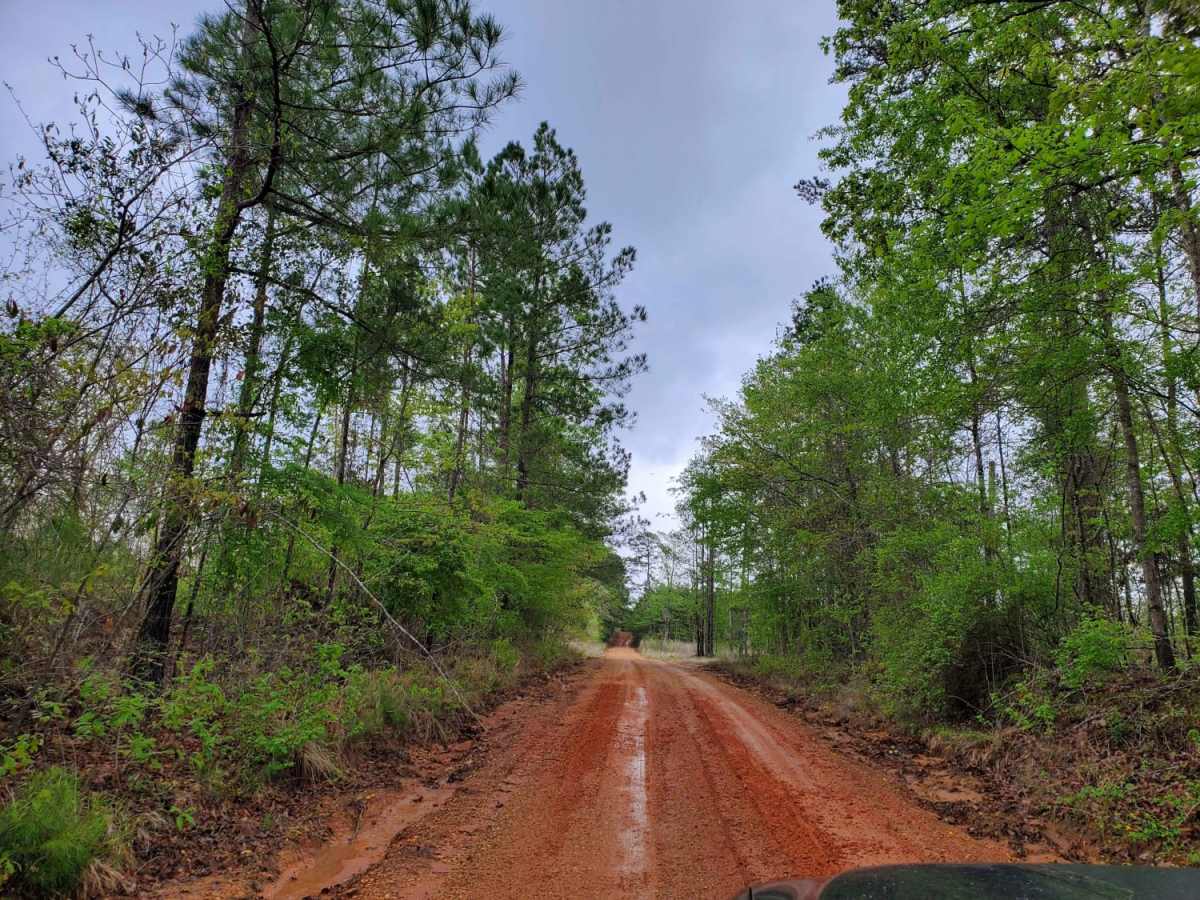 The Arkansas Overland Route - Section 9 - Norphlet Trek photo 5