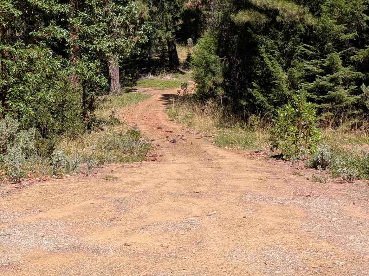 Tule Divide Road - FS 2N53 trail photo