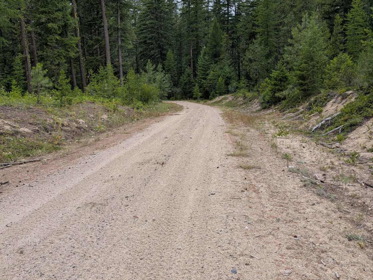 Cedar Creek - FS 3700-110 photo 3