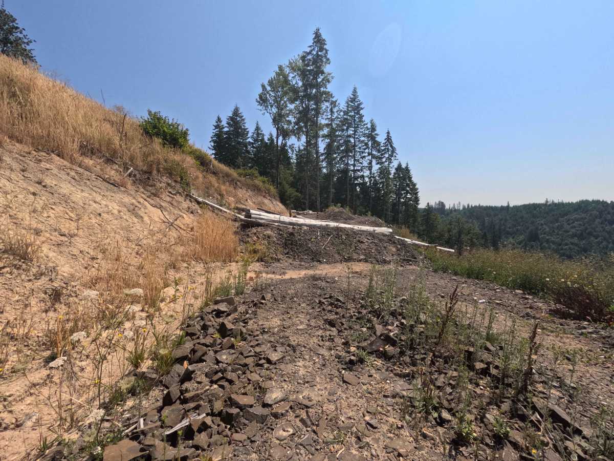 W-1090 trail photo