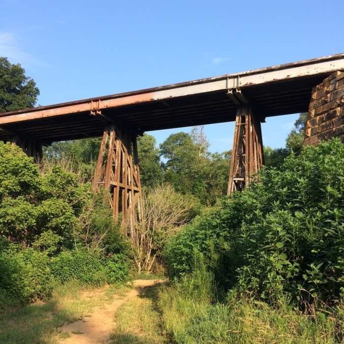 Near Muscadine Trail - East