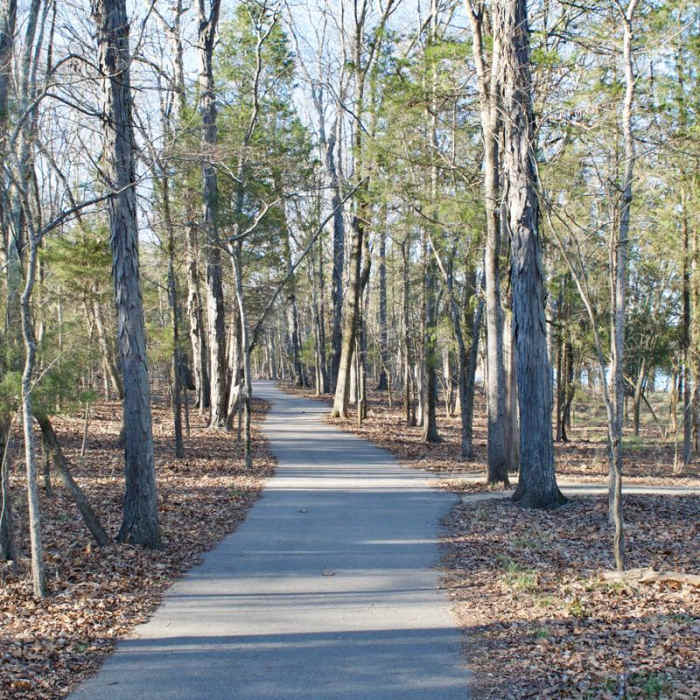 Near Couchville Lake