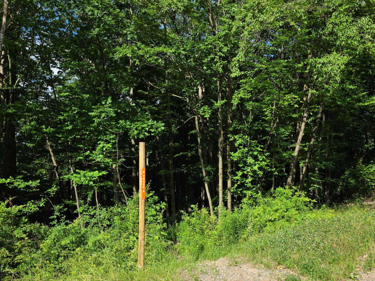 Single Track B photo 2