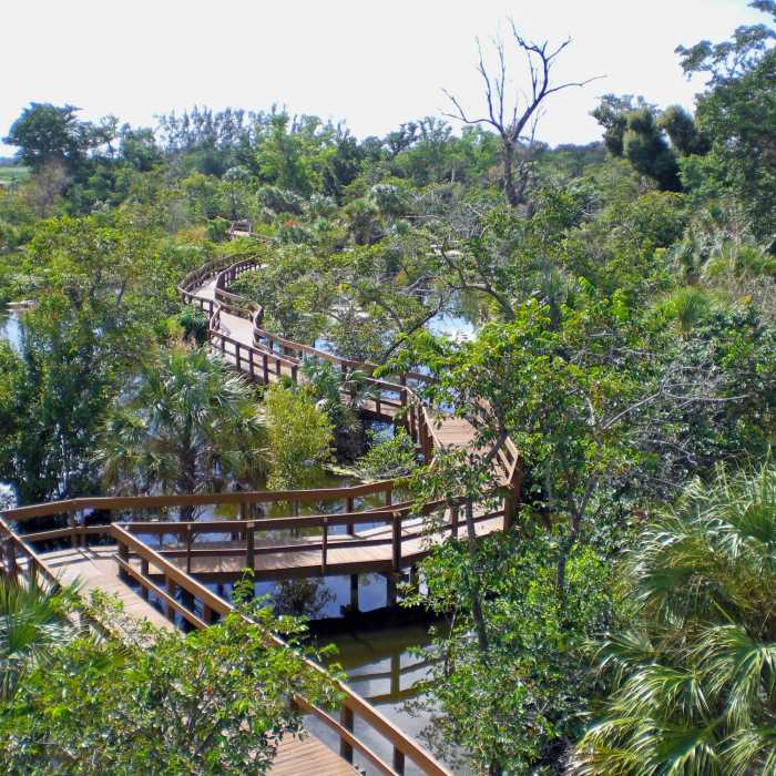 Daggerwing Nature Center - View from Tower Near Daggerwing Nature Center