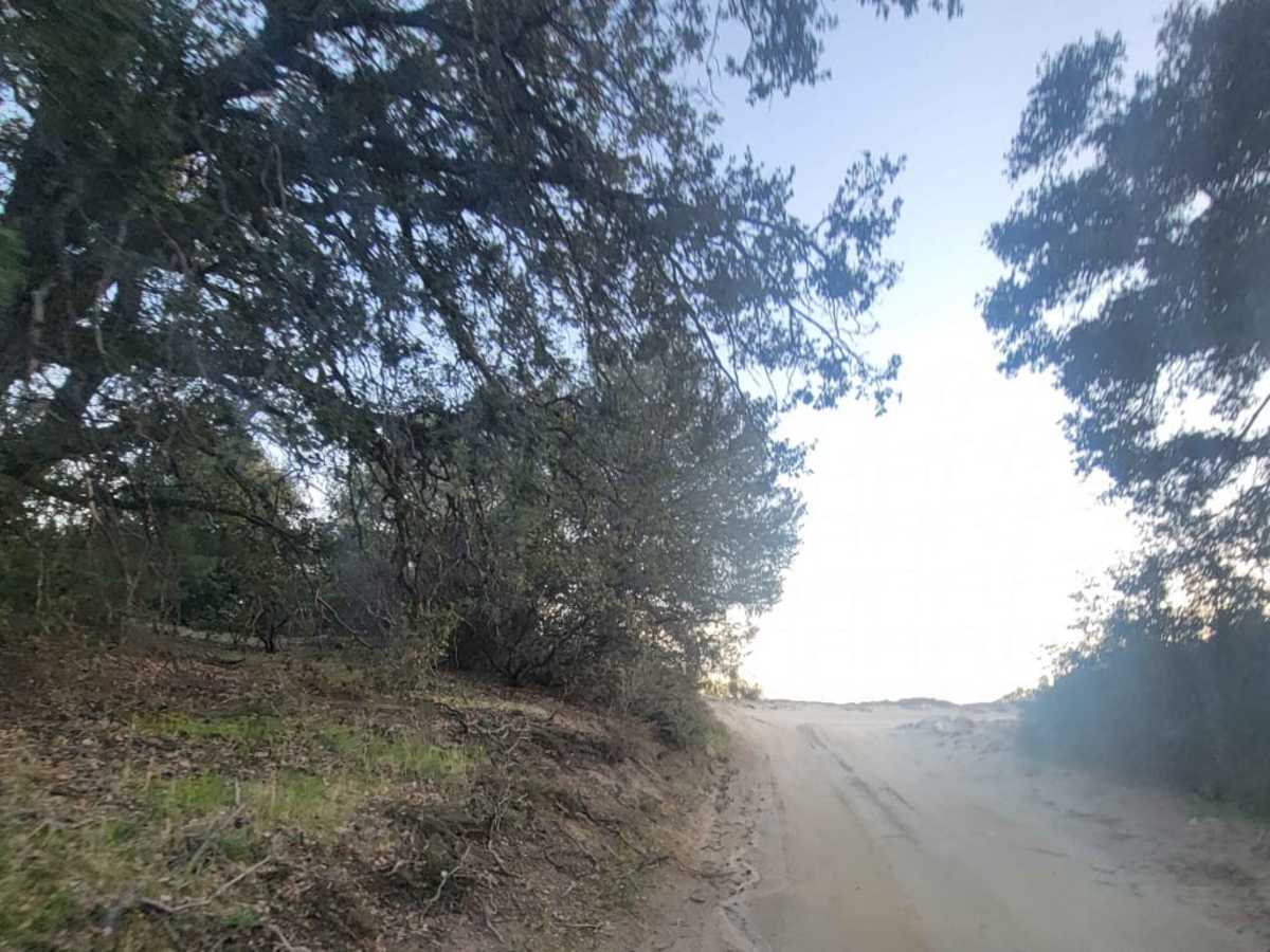 6S13 - Thomas Mountain Road photo 5