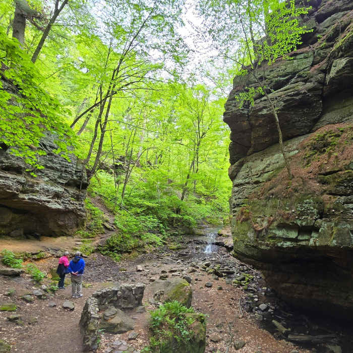Parfrey Glen Waterfall. Near Parfrey's Glen Trail