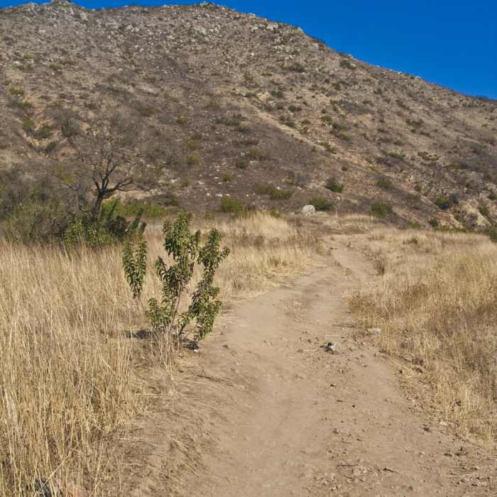 Near Monserate Mountain Trail