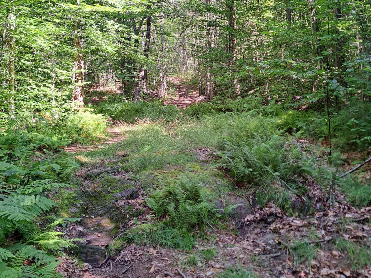Upper Turnpike Road photo 4