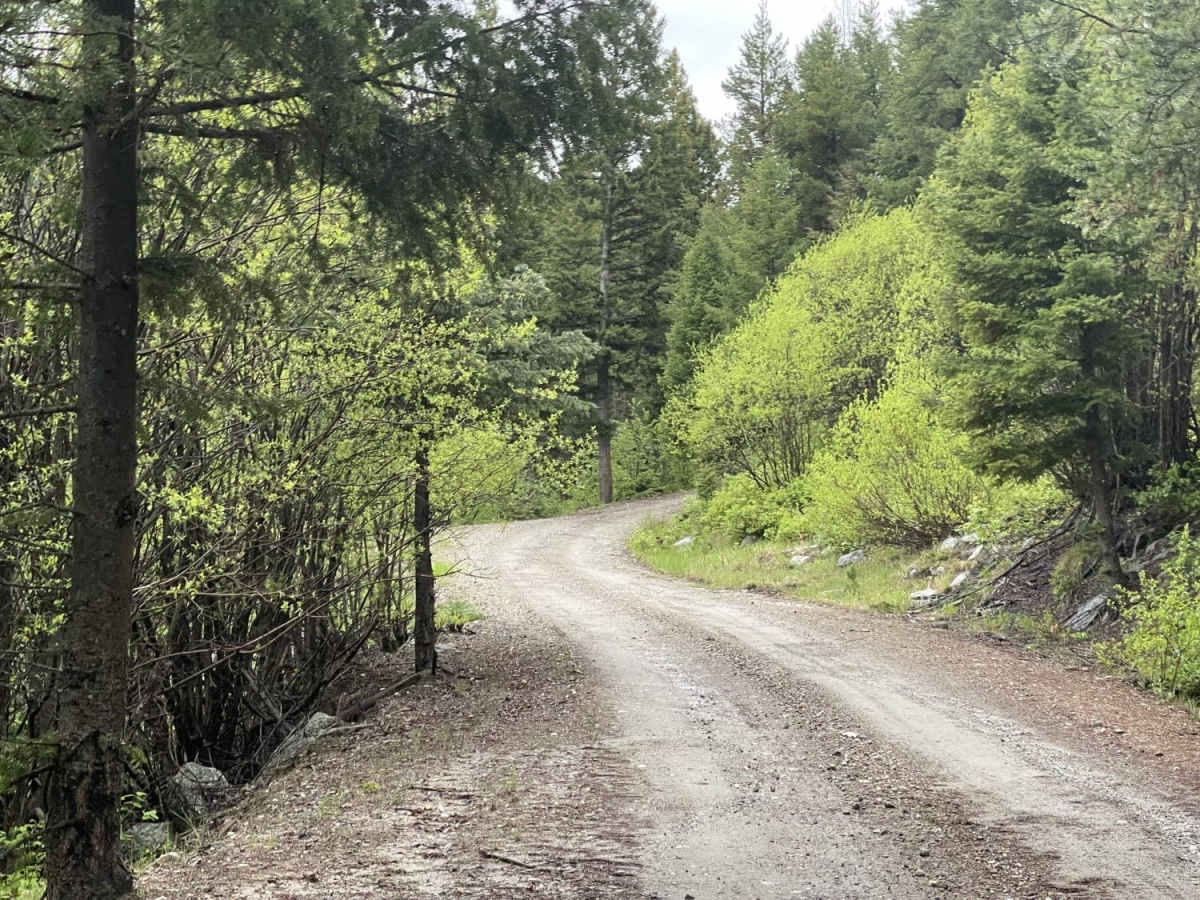 Upper Cave Gulch Road photo 6