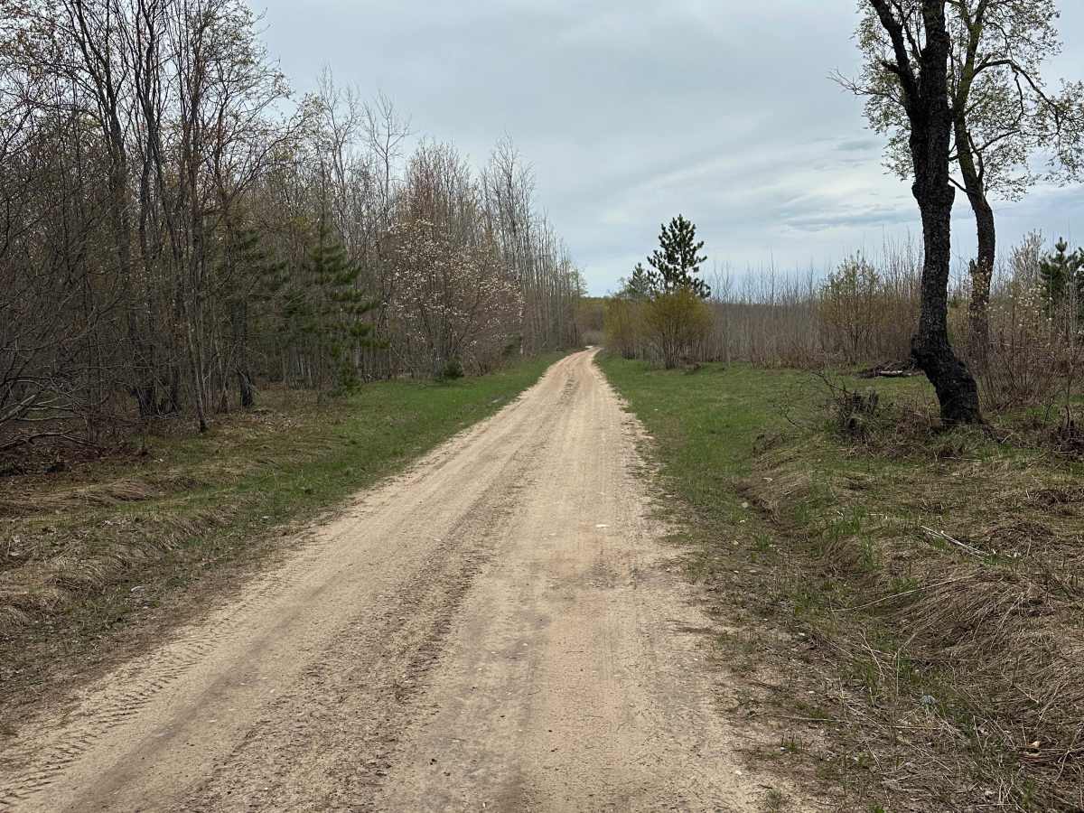 Sand Lake Road  photo 2