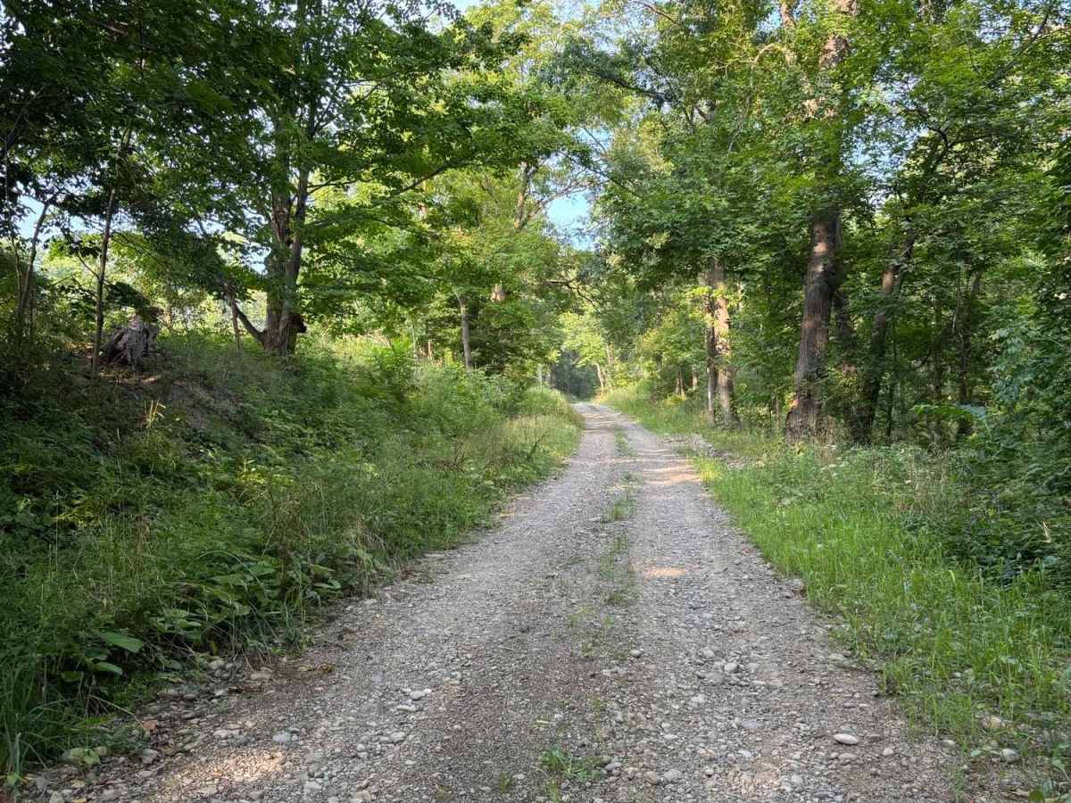 Wise Road photo 3