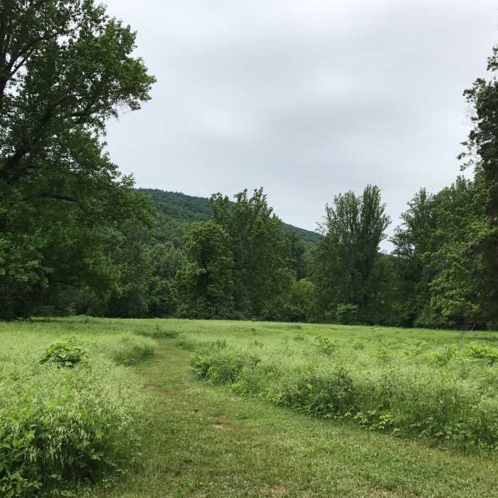 Near Jason Stevens Loop