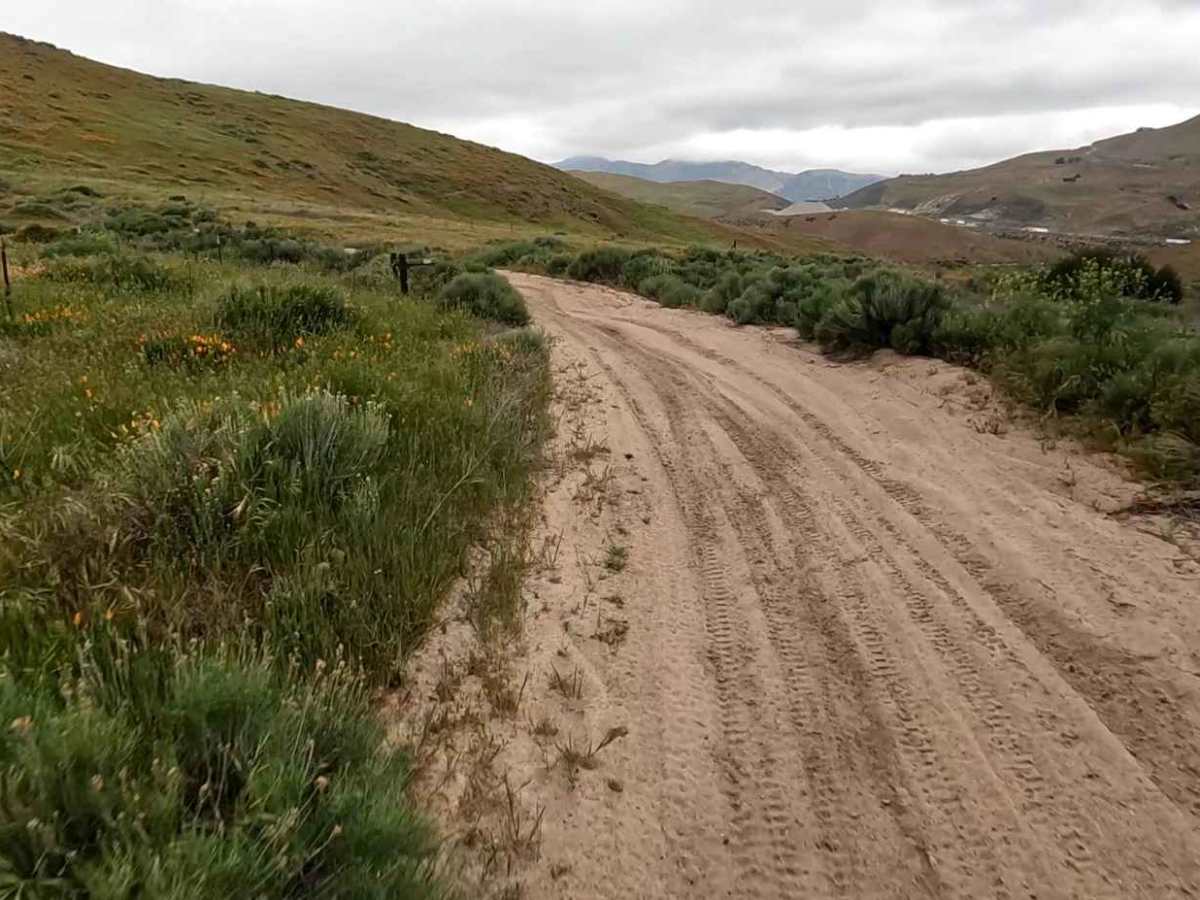Brome Trail photo 5
