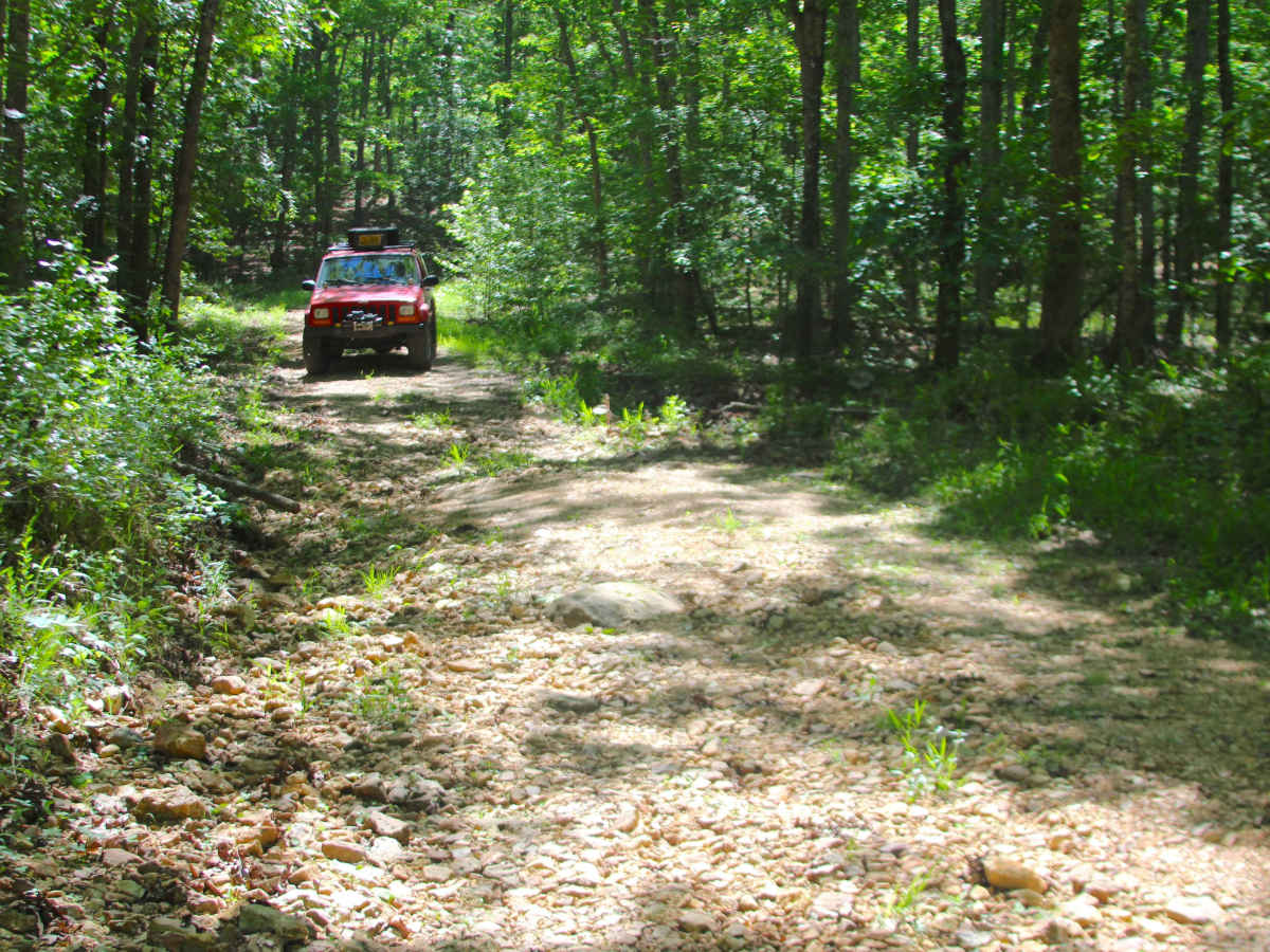Grassy Hollow - FS 3714 trail photo
