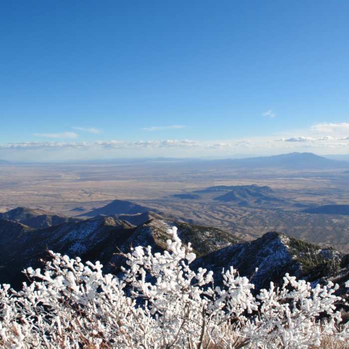 Near Miller Peak via Crest Trail #103