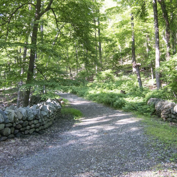 Near Stillman-Bluebird Loop