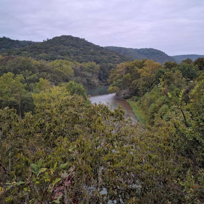 Near Whites Creek Trail
