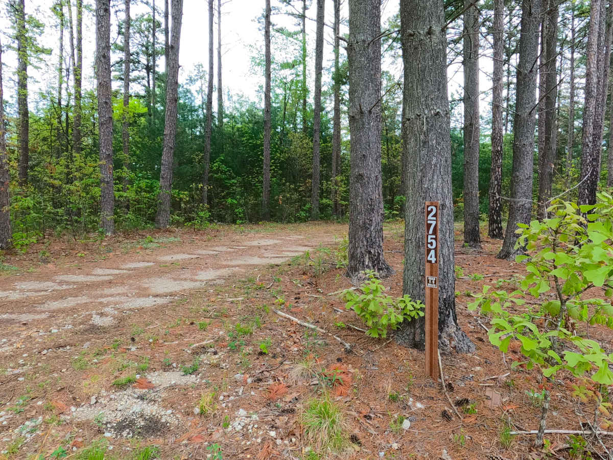 James Ridge - FS 2754 trail photo