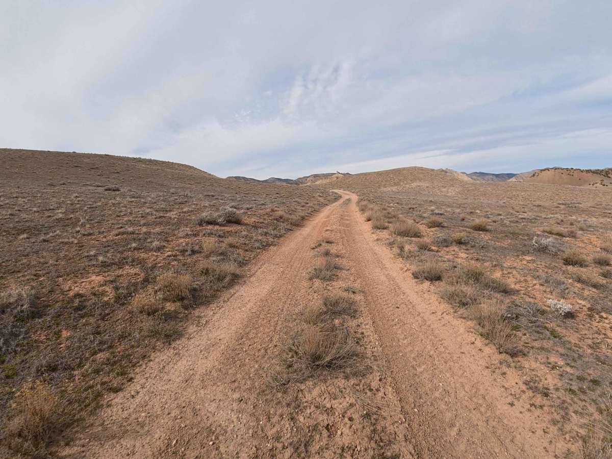 BLM 130 photo 6