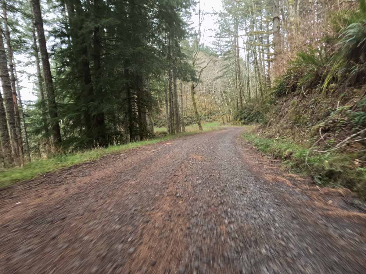 3000 Road photo 6