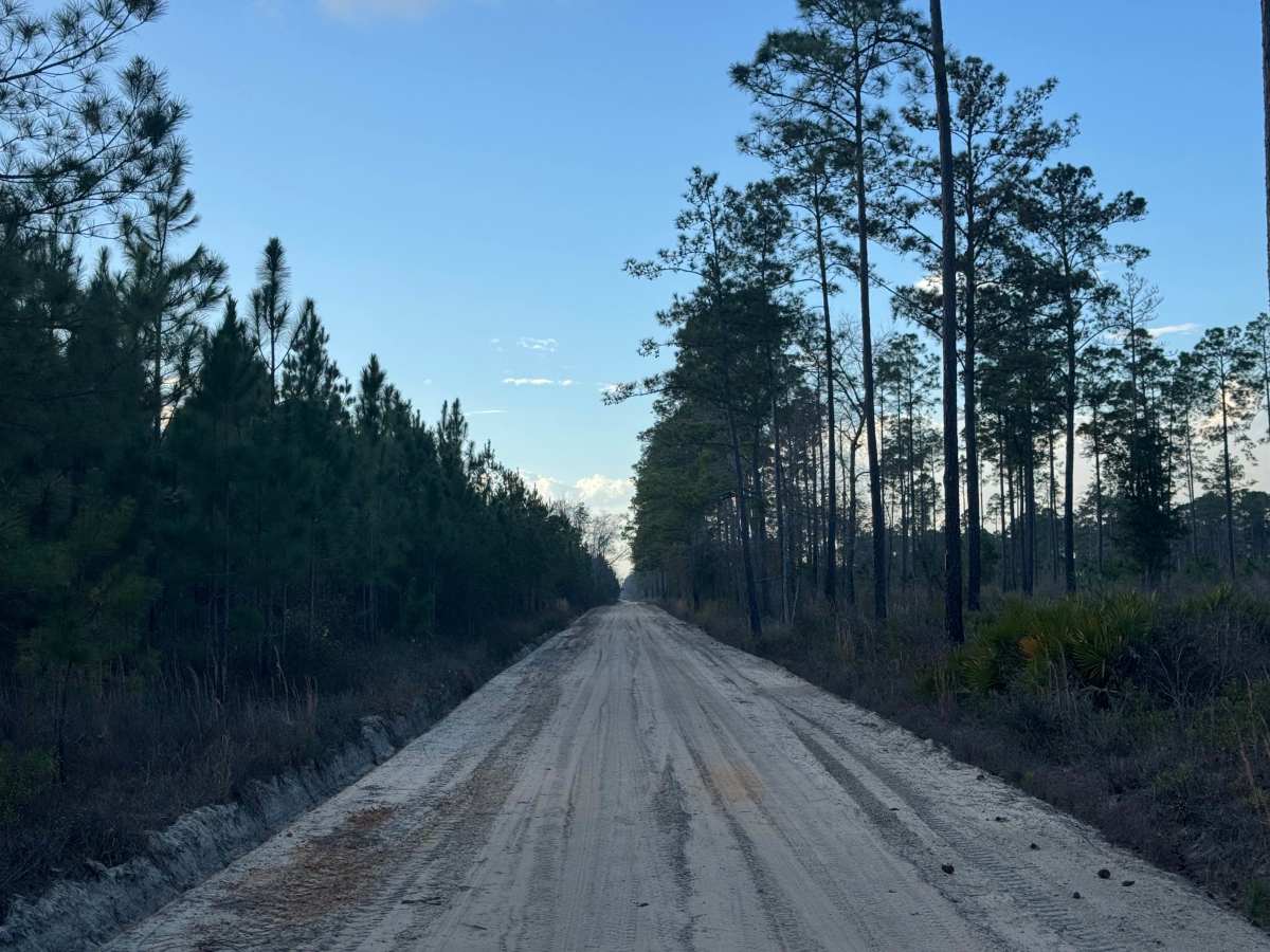 River Road photo 4