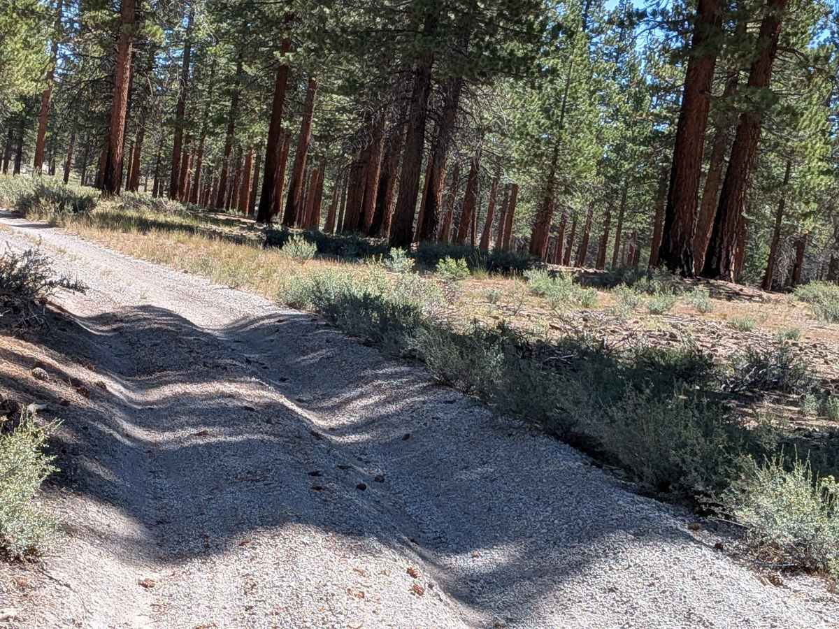 Forest Service Road 2S40 photo 3