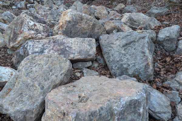 G13 Rock Garden