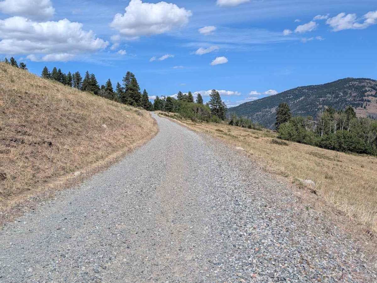 Douglas Mountain Road photo 5
