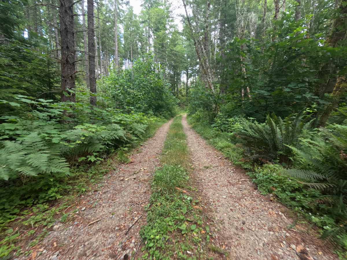 Boundary - FS 1260022 trail photo