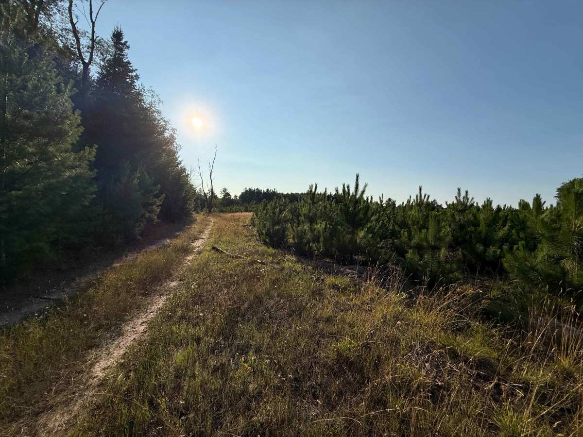 Cedar Road Loop Trail photo 4