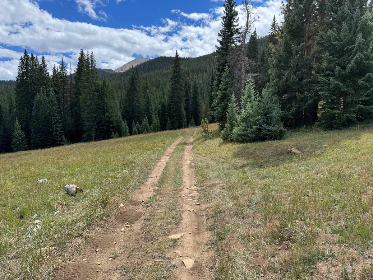 Georgia Gulch Road photo 5