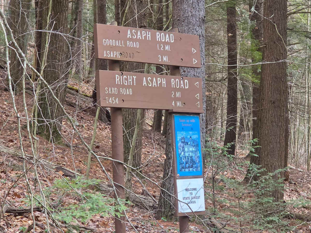 Asaph Run Road trail photo