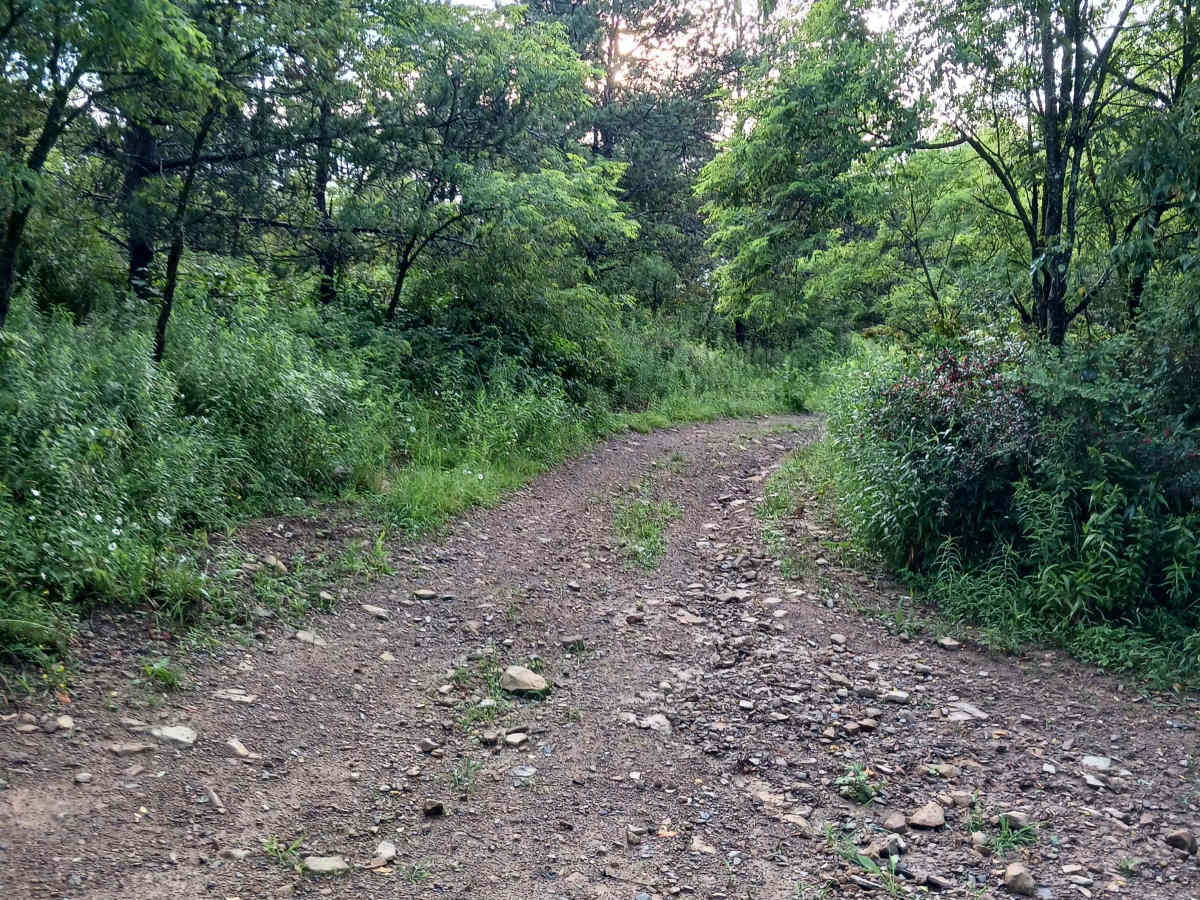 Trail 10F - Rock Run Recreation Area photo 3