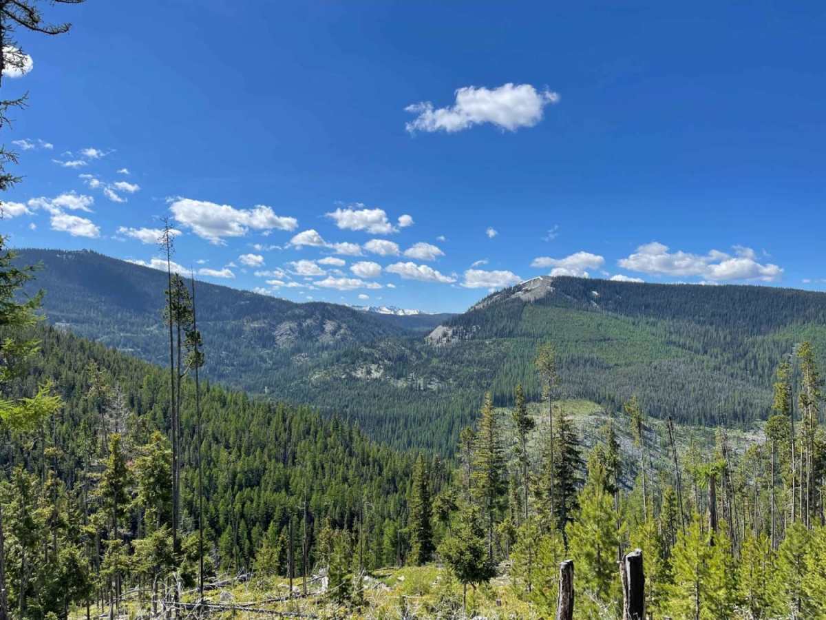 Butte Ridge trail photo