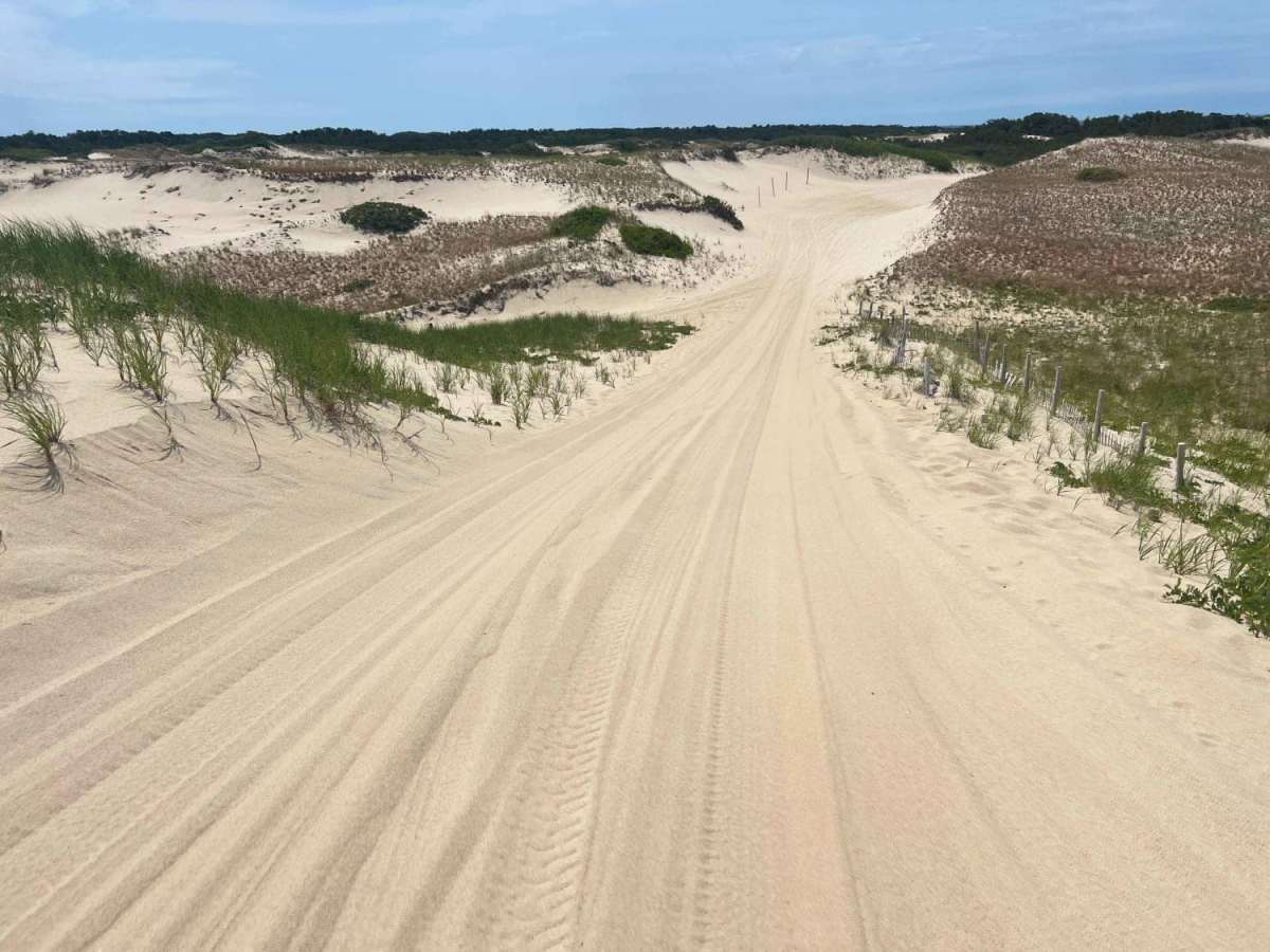 Race Point South Entrance trail photo
