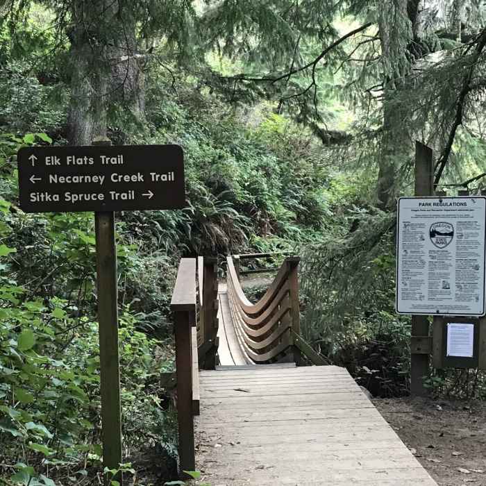 Near Elk Flats Trail