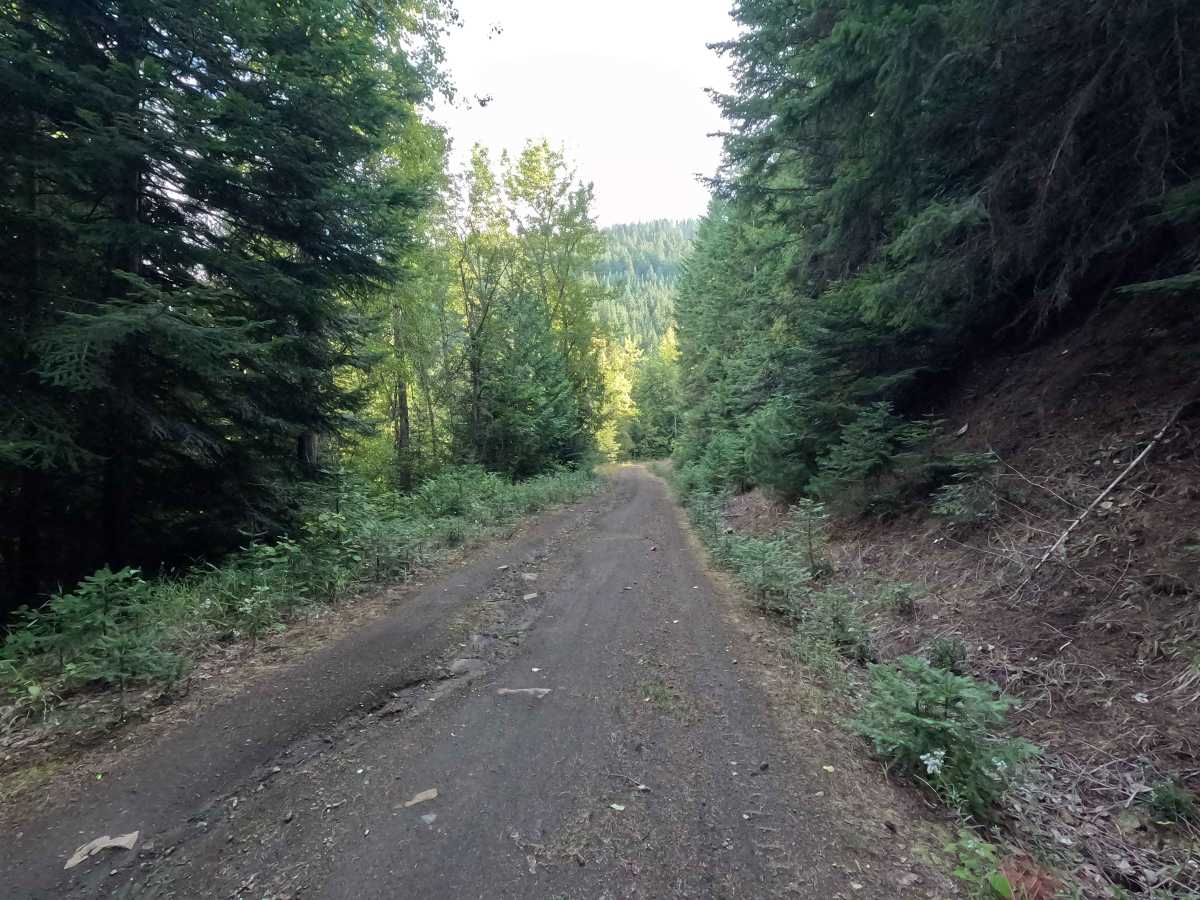 Ole Creek - FS 1092 photo 4
