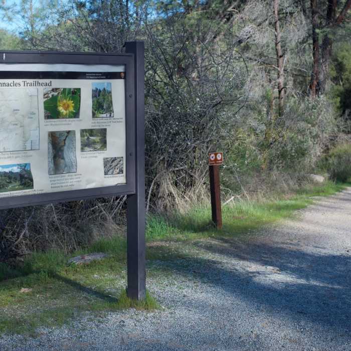 Near Bench Trail