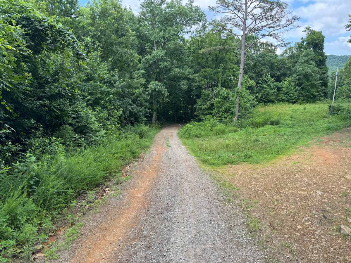 County Road 5681 photo 3