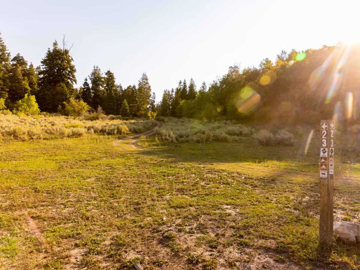 Beaver Creek Ridge photo 6