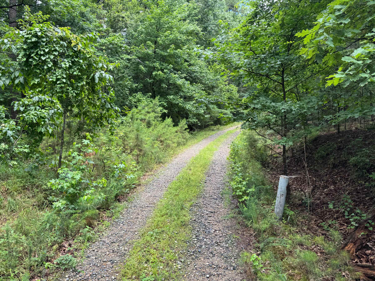 Harvey trail photo