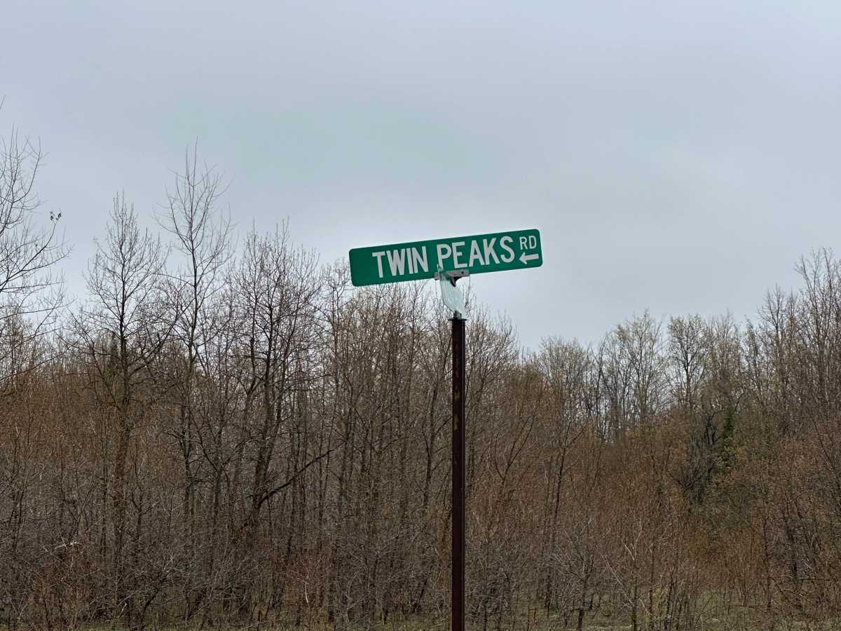 Twin Peaks Road trail photo
