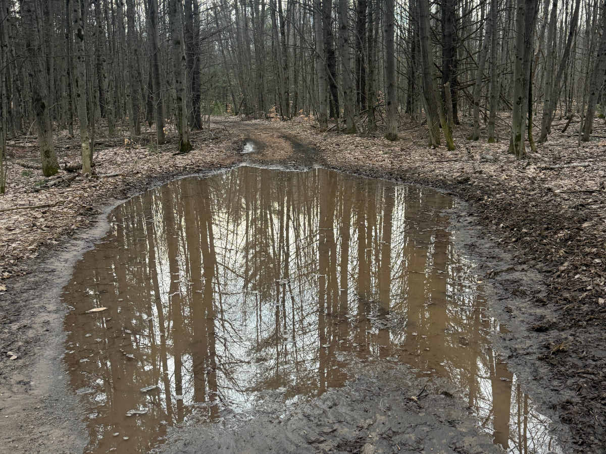 FS 5078 trail photo